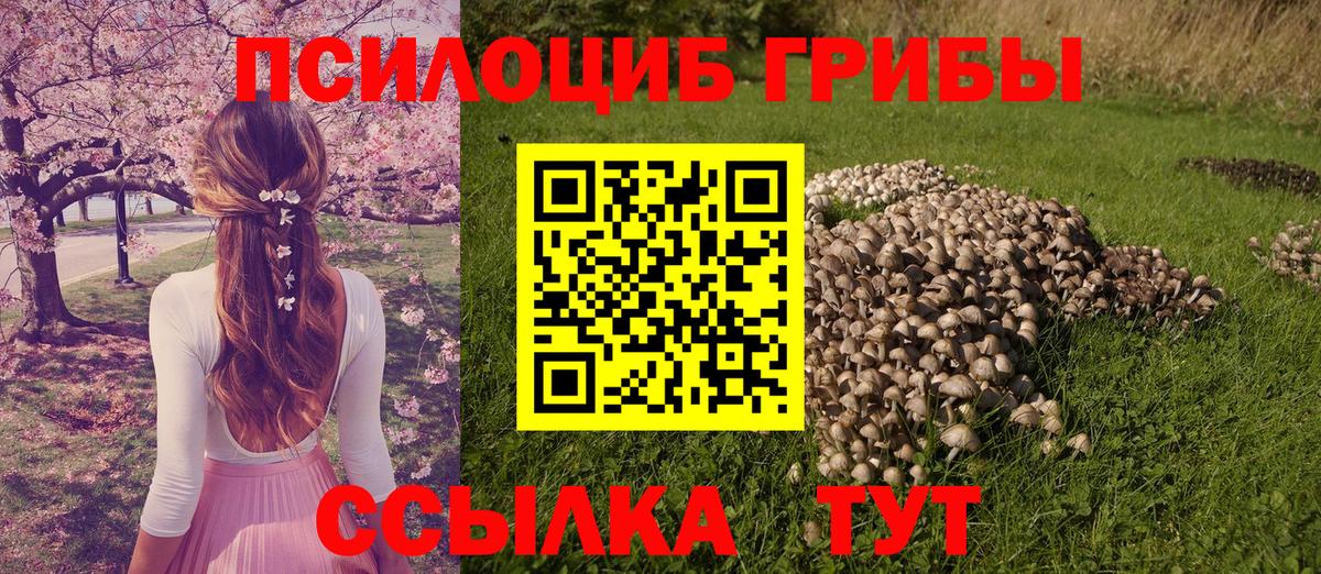 наркотики  Галлюциногенные грибы GOLDEN TEACHER  Вход с VPN  Октябрьский 